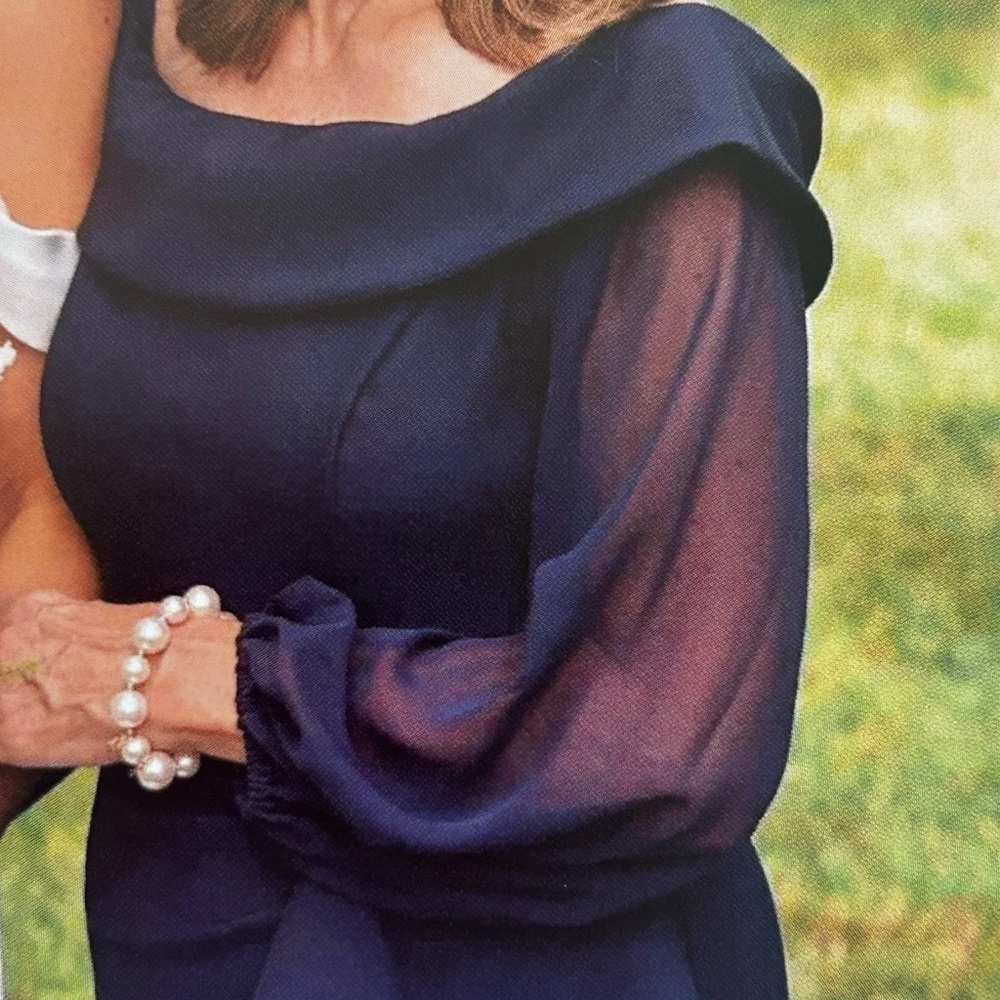 Alex Evenings Navy Blue Off-Shoulder Chiffon Sleeve Dress